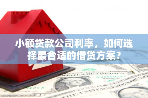 太子河小额贷款公司利率，如何选择最合适的借贷方案？