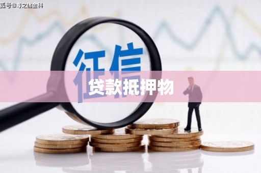 太子河贷款抵押物