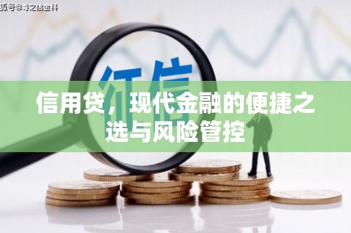 太子河信用贷，现代金融的便捷之选与风险管控