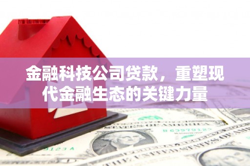 太子河金融科技公司贷款，重塑现代金融生态的关键力量