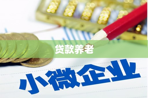 太子河贷款养老
