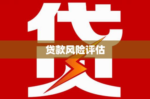 太子河贷款风险评估