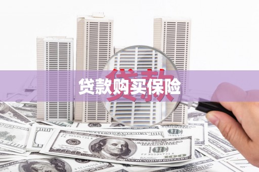 太子河贷款购买保险