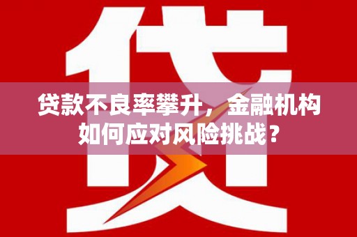 太子河贷款不良率攀升，金融机构如何应对风险挑战？