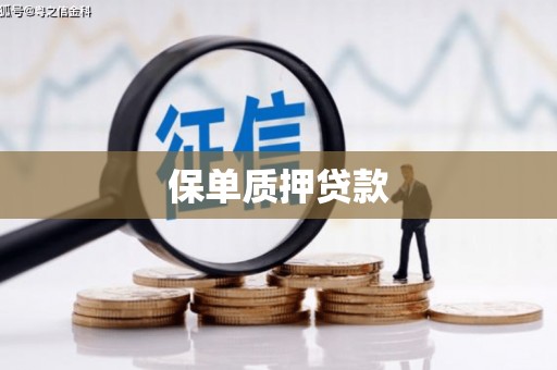 太子河保单质押贷款