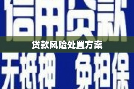 太子河贷款风险处置方案