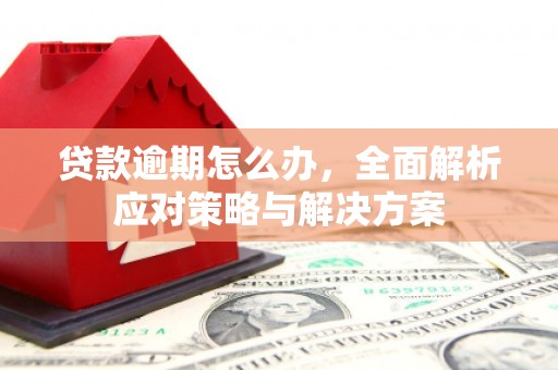 太子河贷款逾期怎么办，全面解析应对策略与解决方案