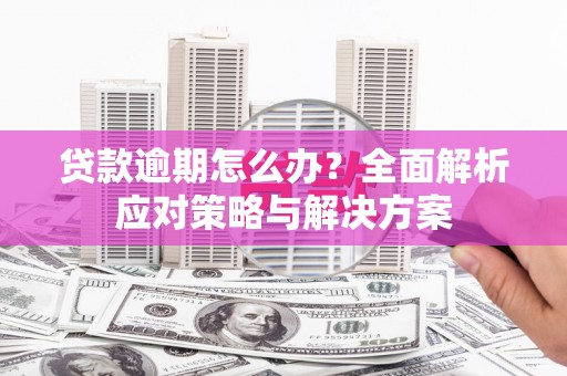 太子河贷款逾期怎么办？全面解析应对策略与解决方案
