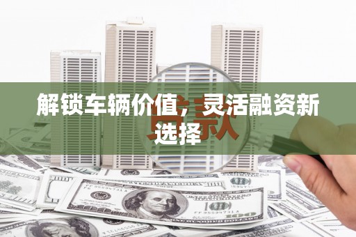 太子河解锁车辆价值，灵活融资新选择