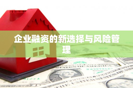 太子河企业融资的新选择与风险管理