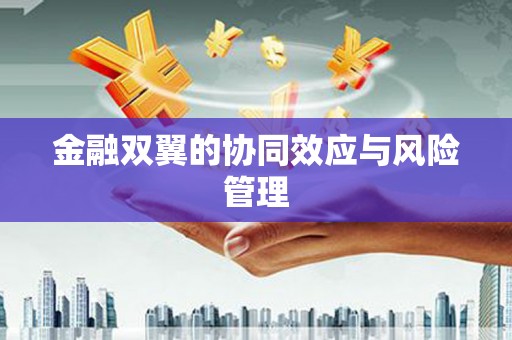 太子河金融双翼的协同效应与风险管理