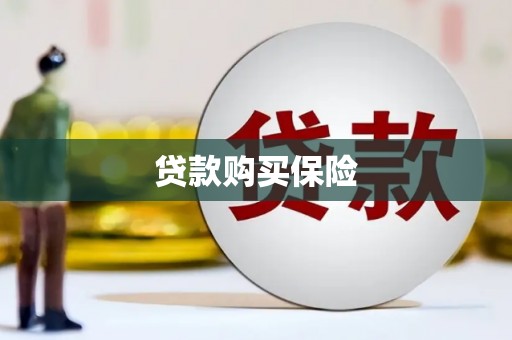 太子河贷款购买保险