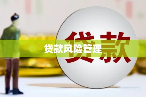 太子河贷款风险管理