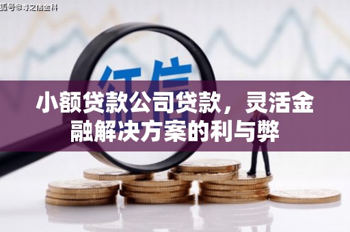 太子河小额贷款公司贷款，灵活金融解决方案的利与弊