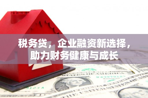 太子河税务贷，企业融资新选择，助力财务健康与成长